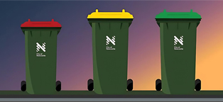 Bins & Waste